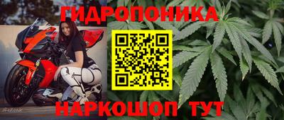 тгк Севастополь