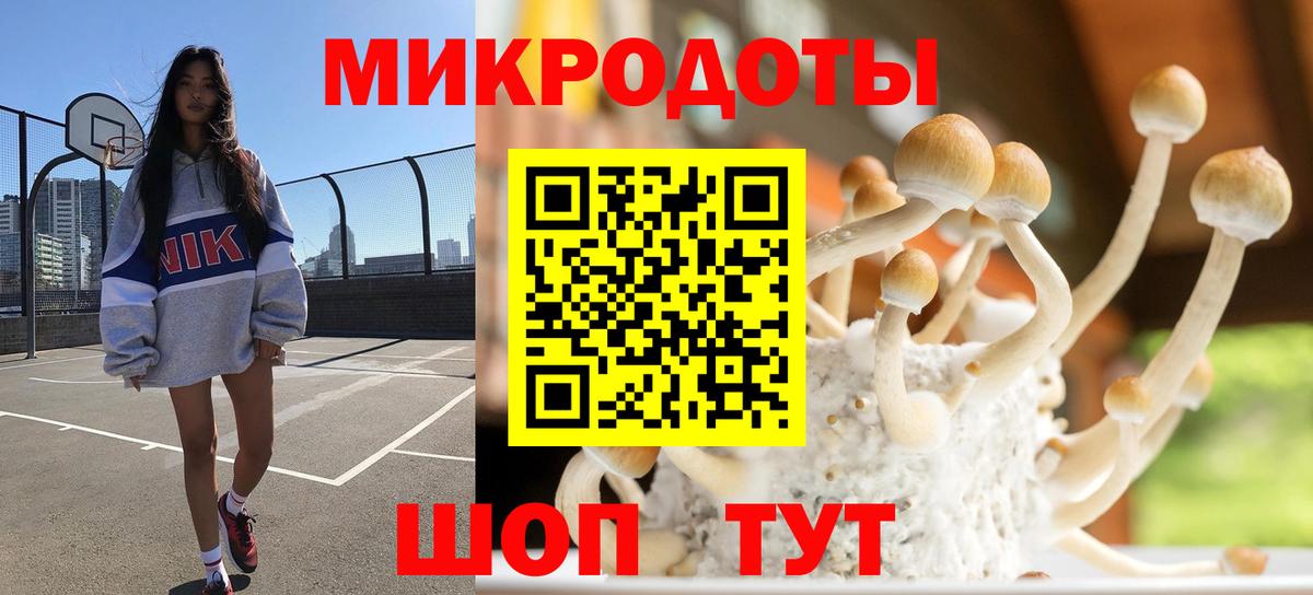 Псилоцибиновые грибы Psilocybe  где продают наркотики  Павловский Посад  Вход с VPN 